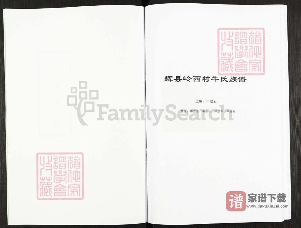图片[2]-河南辉县岭西村牛氏族谱PDF高清电子版下载-家谱下载