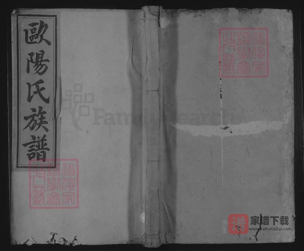 图片[1]-湖南邵阳隆回县绍邑连理村欧阳宗谱PDF高清电子版下载-家谱下载