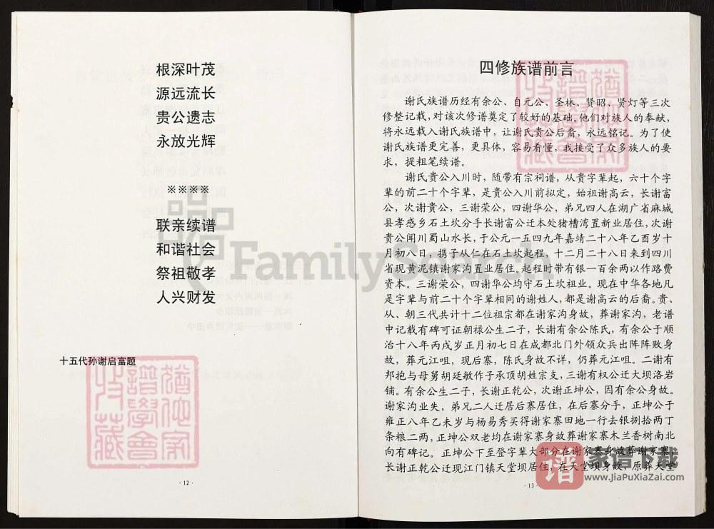 图片[2]-四川泸州叙永县谢氏族谱第四修正本PDF高清电子版下载-家谱下载