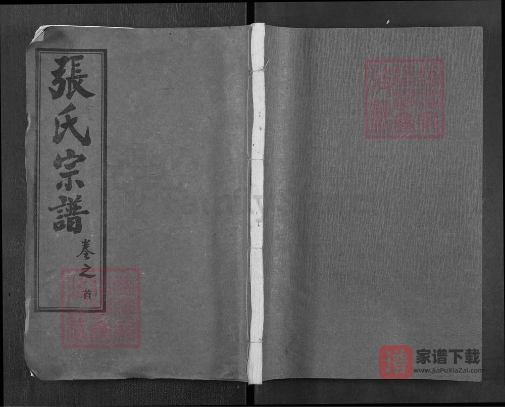 图片[1]-湖北武汉新洲区张氏宗谱（敦伦堂）PDF高清电子版下载-家谱下载