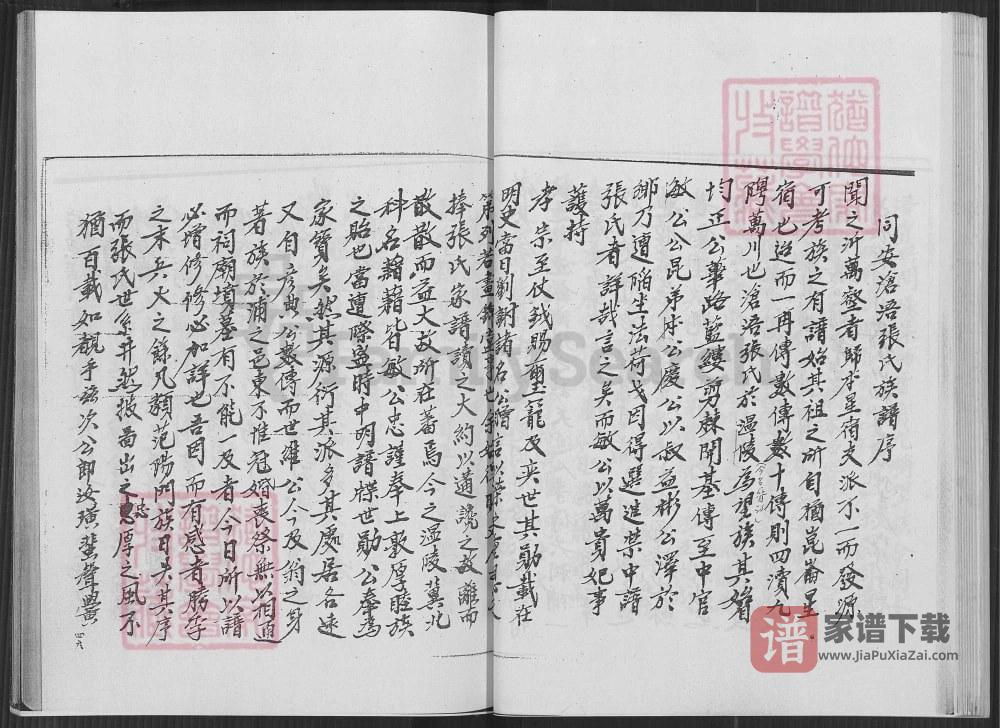 图片[2]-福建厦门同安金门青屿张氏族谱（重恩堂）PDF高清电子版下载-家谱下载