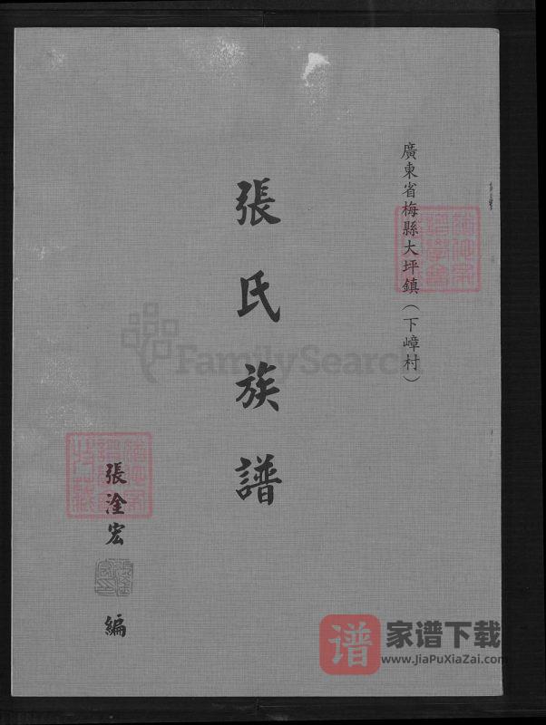 广东梅州梅县大坪镇下嶂村张氏族谱PDF高清电子版下载-家谱下载