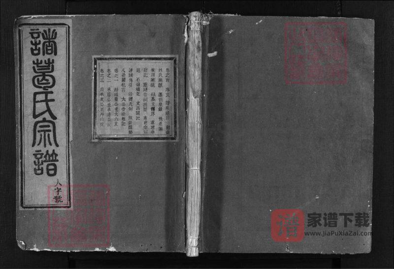 浙江兰溪诸葛氏宗谱PDF高清电子版下载-家谱下载
