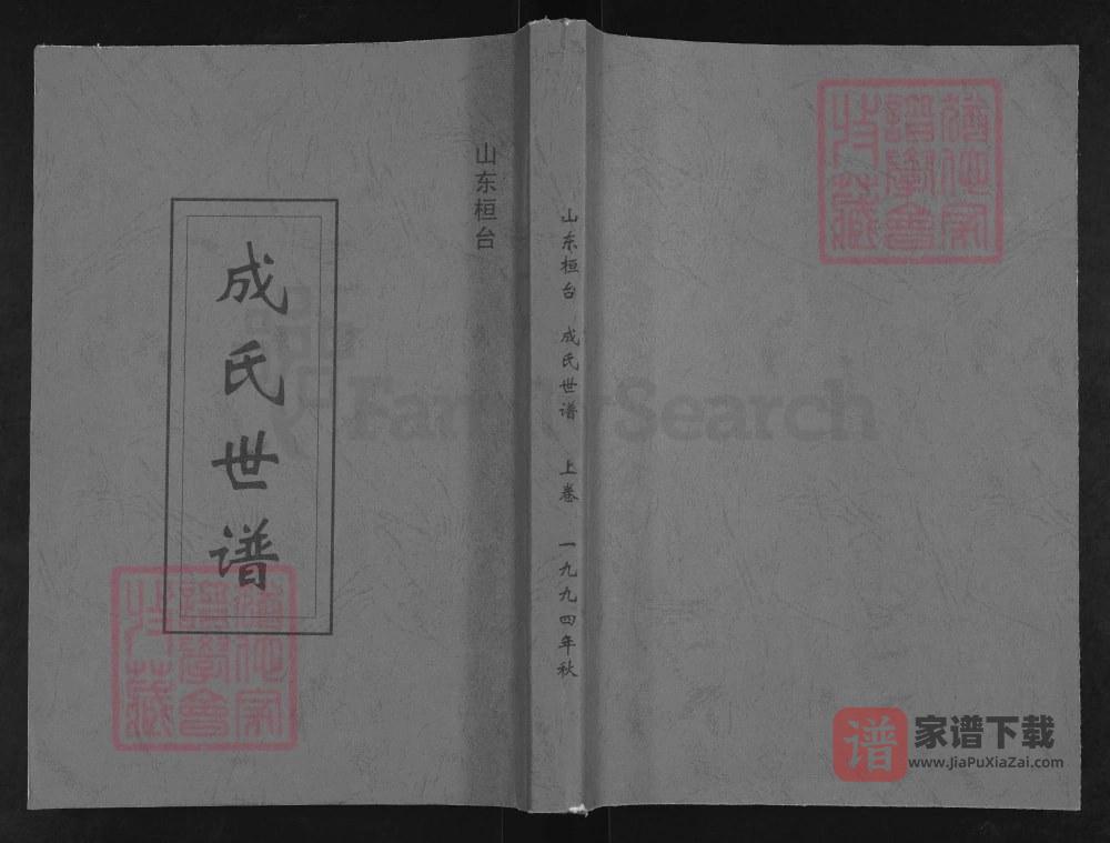 山东淄博桓台成氏世谱PDF高清电子版下载