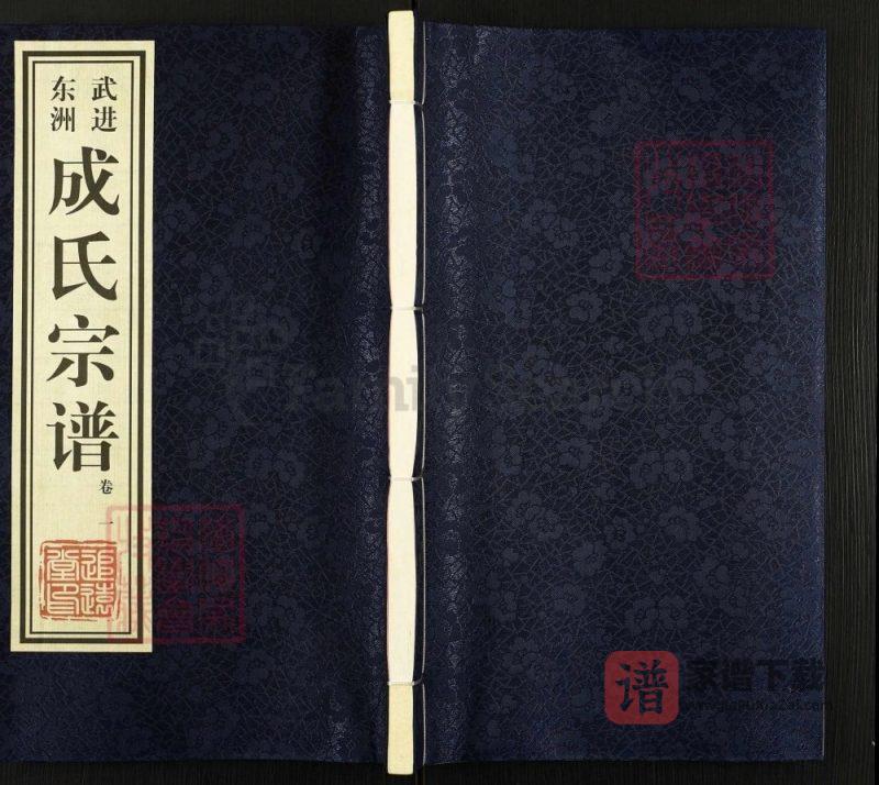 江苏常州武进东洲成氏宗谱（追远堂）PDF高清电子版下载-家谱下载