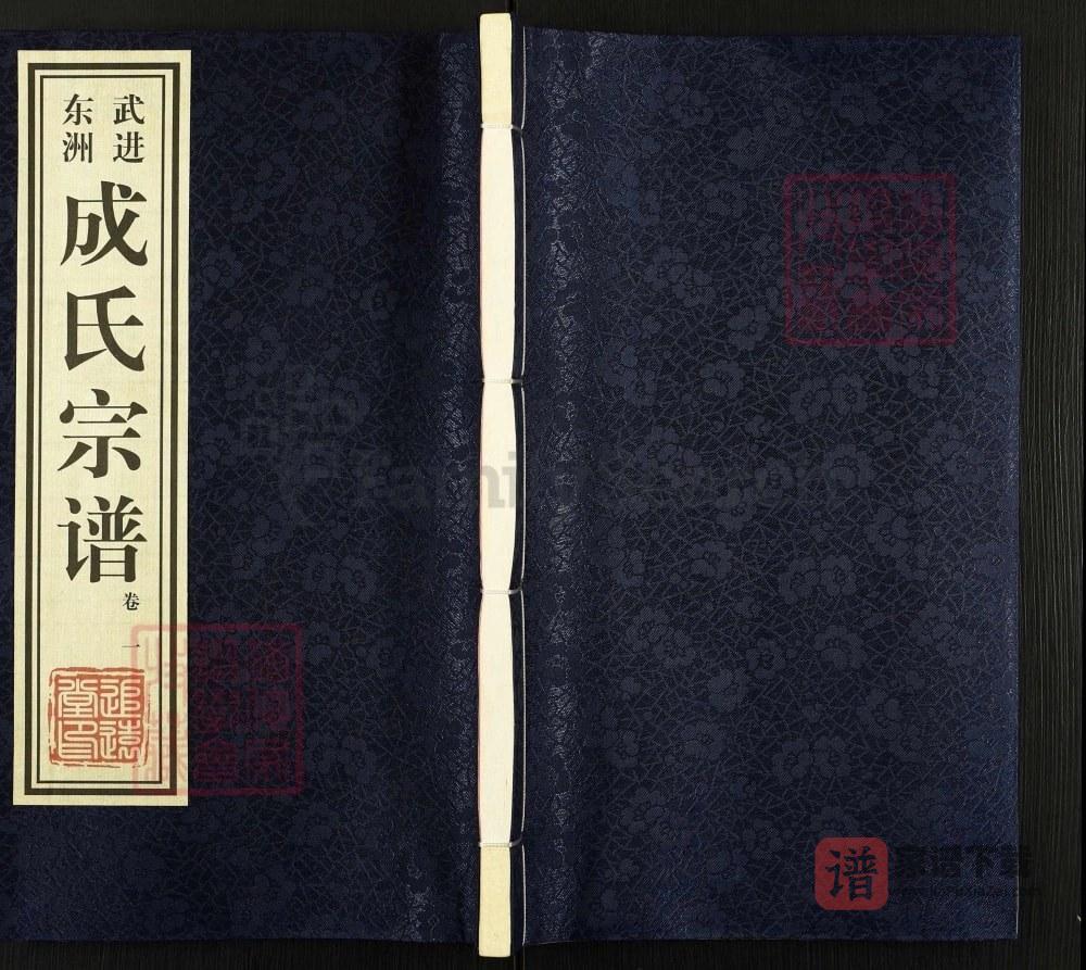 江苏常州武进东洲成氏宗谱（追远堂）PDF高清电子版下载