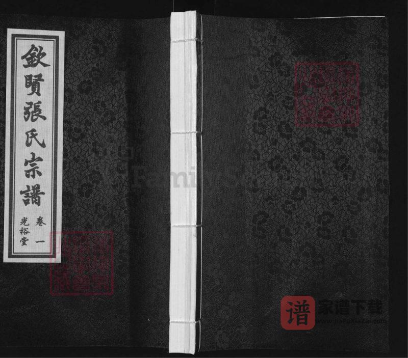 江苏江阴钦贤张氏宗谱伟公支(光裕堂)PDF高清电子版下载-家谱下载