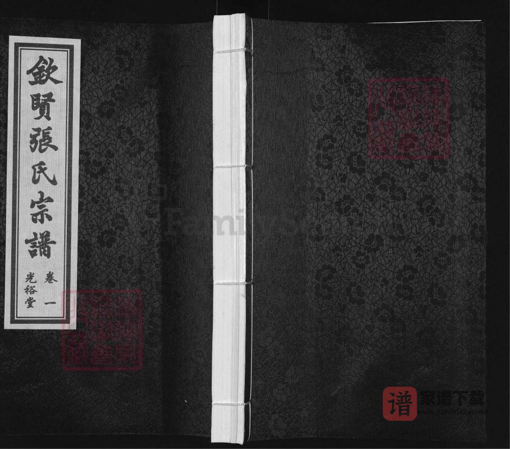 江苏江阴钦贤张氏宗谱伟公支（光裕堂）PDF高清电子版下载