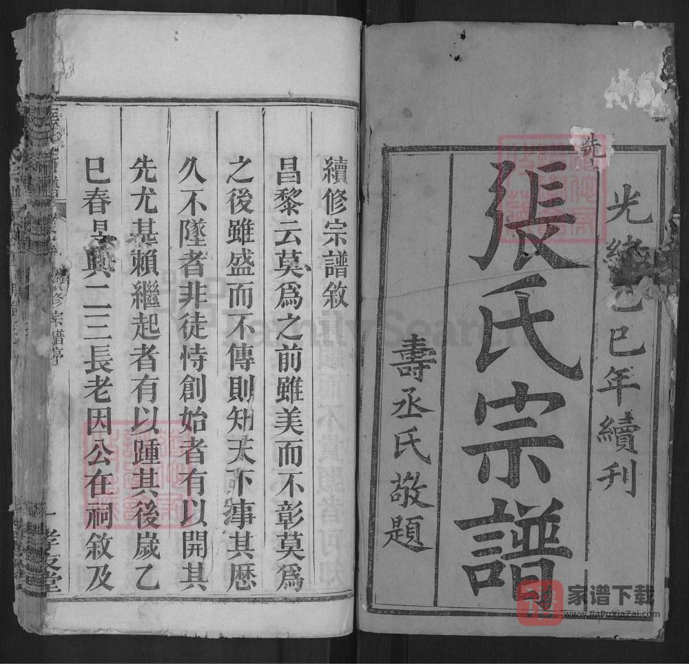 图片[2]-湖北麻城张氏宗谱（孝友堂）PDF高清电子版下载-家谱下载
