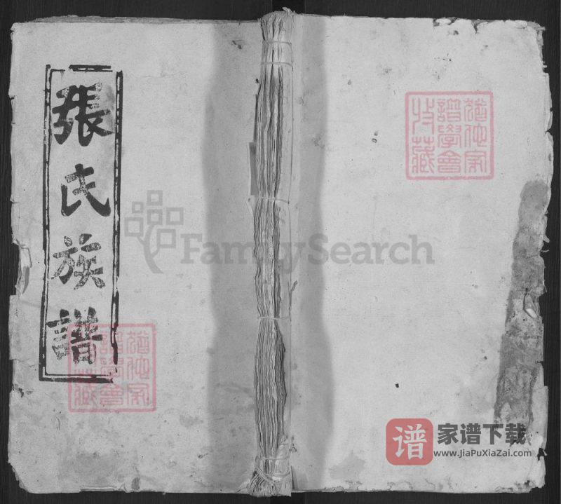 安徽宿松张氏宗谱(怀德堂)PDF高清电子版下载-家谱下载