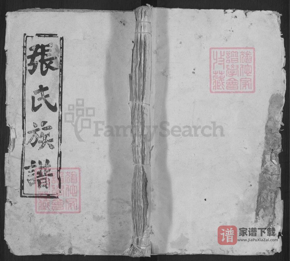 安徽宿松张氏宗谱（怀德堂）PDF高清电子版下载