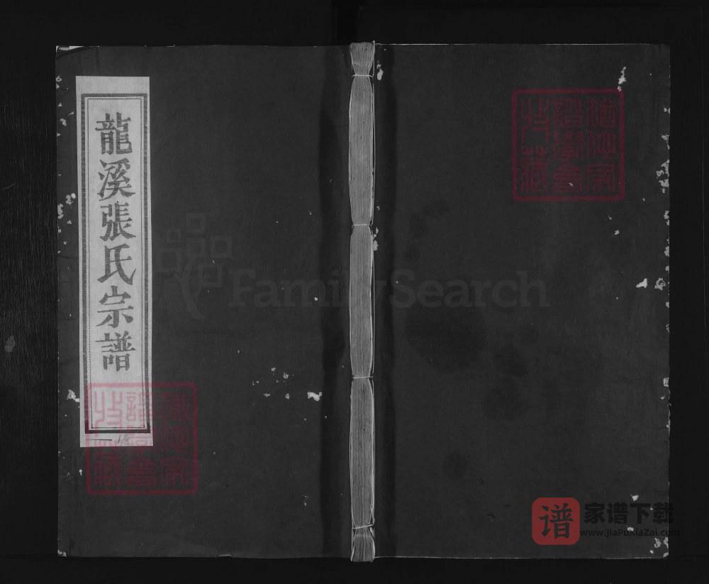 浙江金华浦江县浦阳龙溪张氏八甲宗谱PDF高清电子版下载