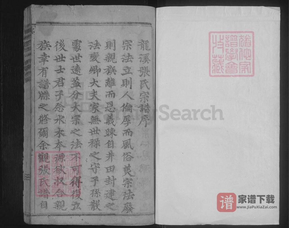 图片[2]-浙江金华浦江县浦阳龙溪张氏八甲宗谱PDF高清电子版下载-家谱下载