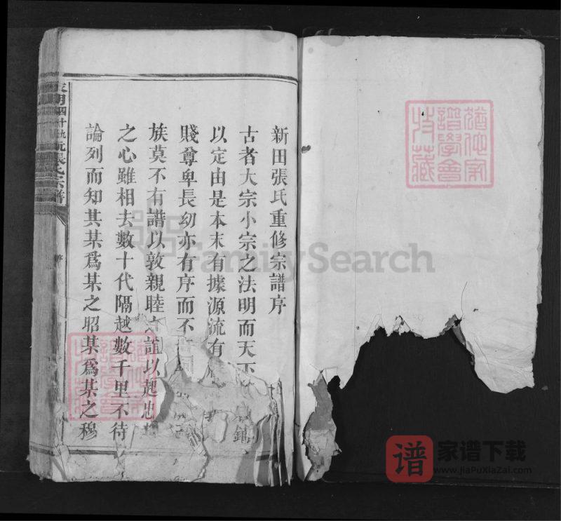 湖南永州江永县永明四十九都新田坑张氏宗谱PDF高清电子版下载-家谱下载