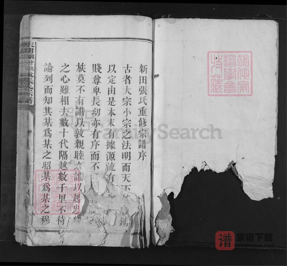 湖南永州江永县永明四十九都新田坑张氏宗谱PDF高清电子版下载