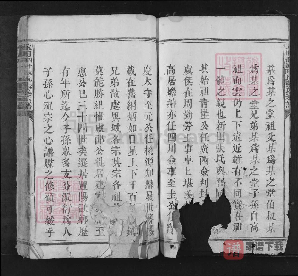 图片[2]-湖南永州江永县永明四十九都新田坑张氏宗谱PDF高清电子版下载-家谱下载