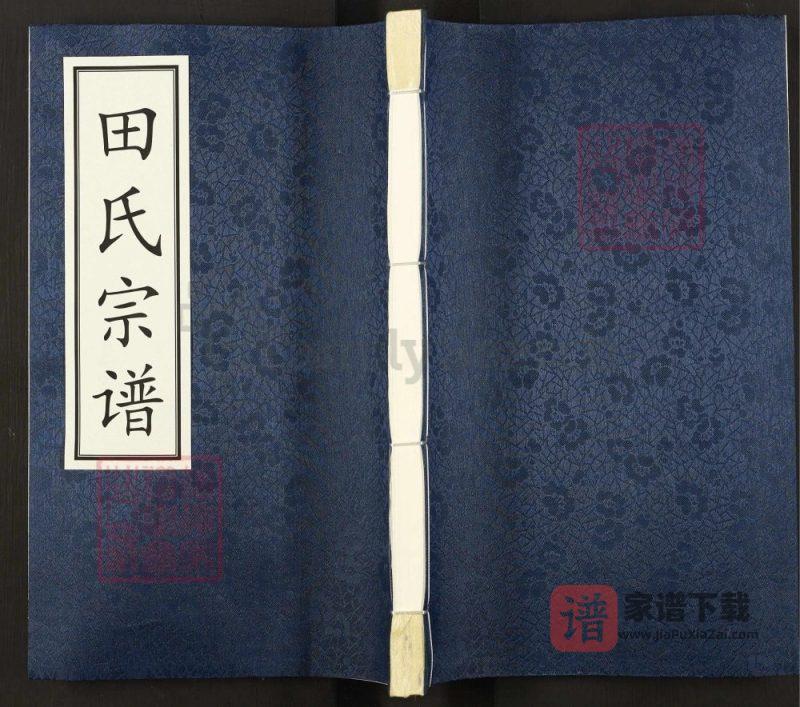 青海西宁城北区田氏宗谱（守正堂）PDF高清电子版下载-家谱下载