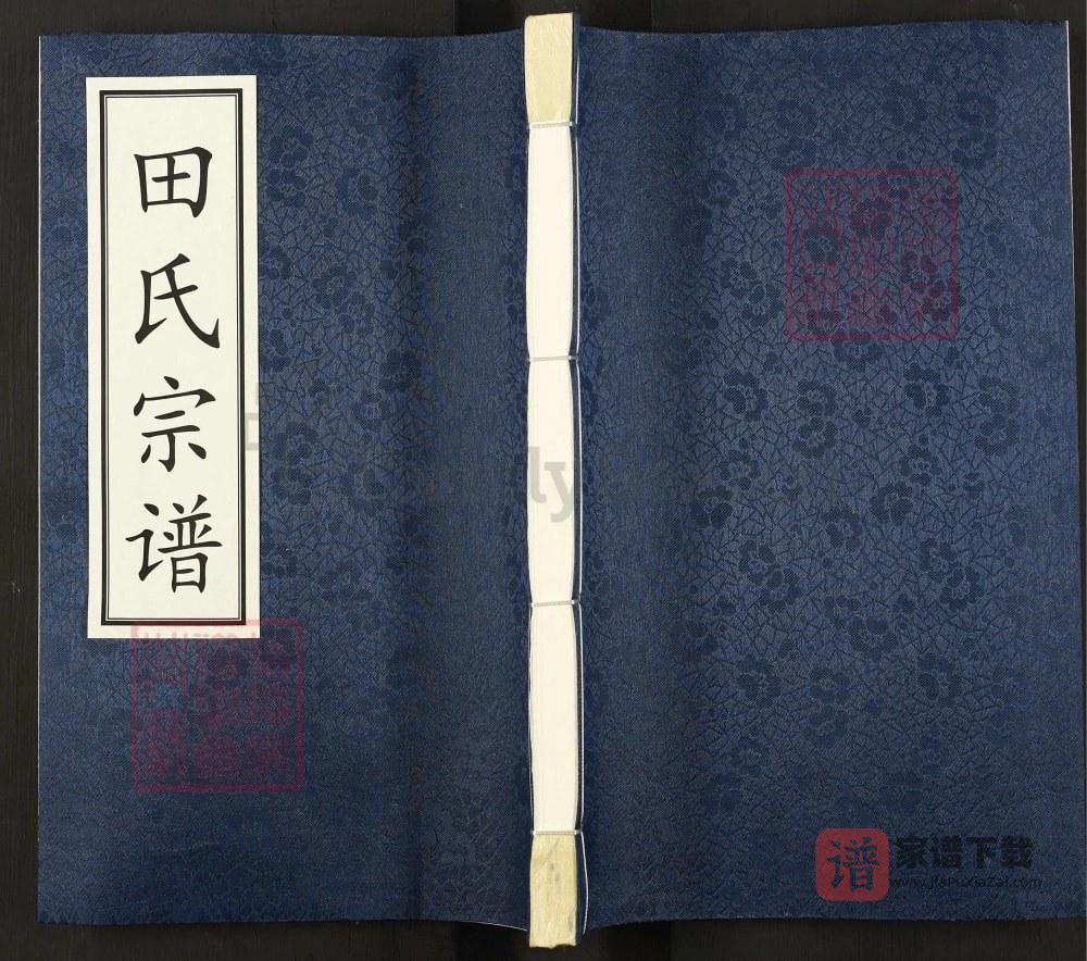图片[1]-青海西宁城北区田氏宗谱（守正堂）PDF高清电子版下载-家谱下载