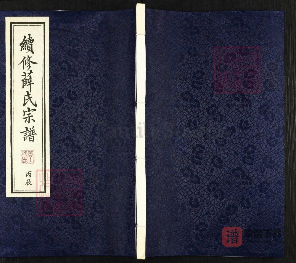 图片[1]-江苏江阴续修薛氏宗谱（永思堂）PDF高清电子版下载-家谱下载