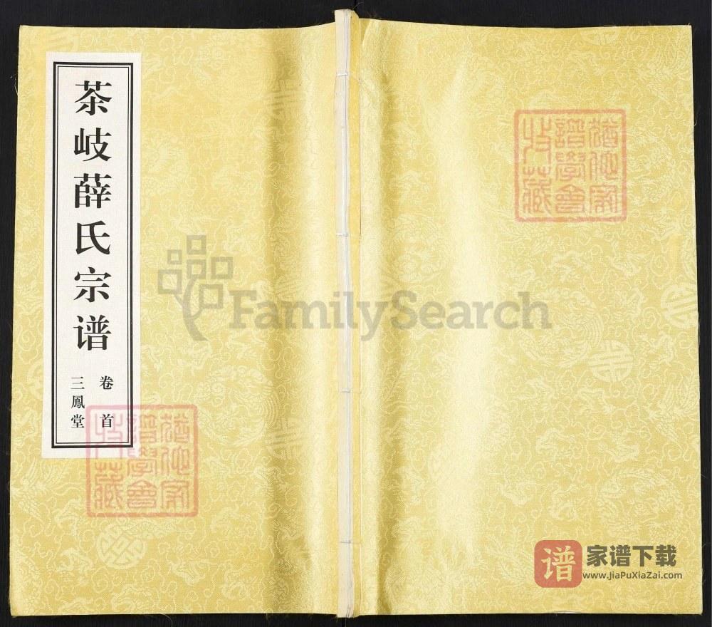 江苏江阴茶岐薛氏宗谱（三凤堂）PDF高清电子版下载