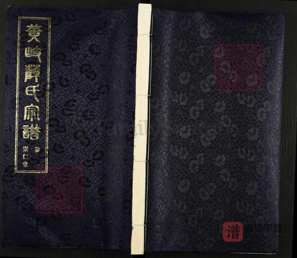 江苏江阴黄岐薛氏宗谱（崇仁堂）PDF高清电子版下载
