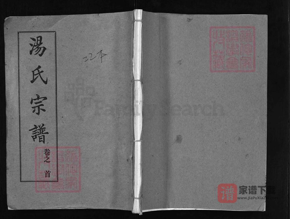 图片[1]-湖北武汉黄陂区汤氏宗谱（玉茗堂）PDF高清电子版下载-家谱下载
