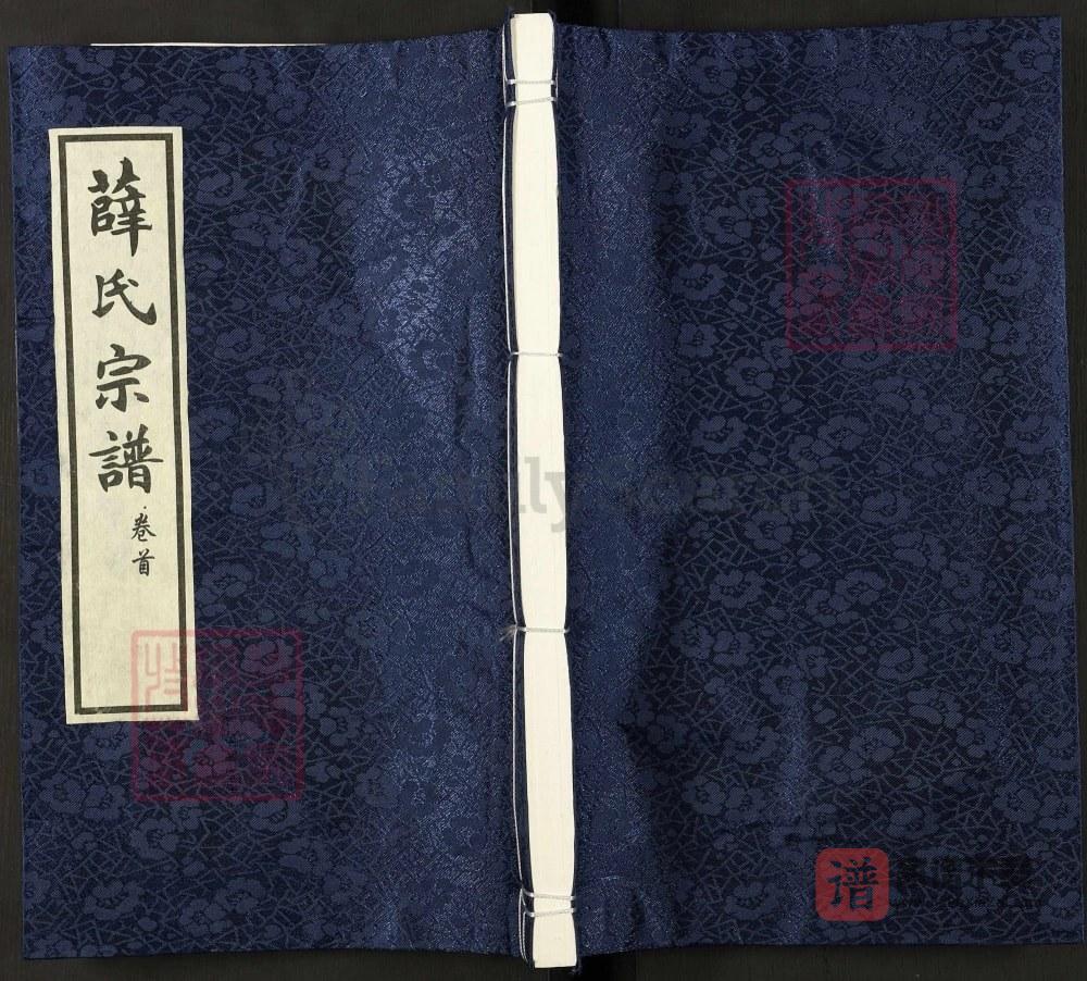 图片[1]-安徽六安霍邱薛氏宗谱PDF高清电子版下载-家谱下载