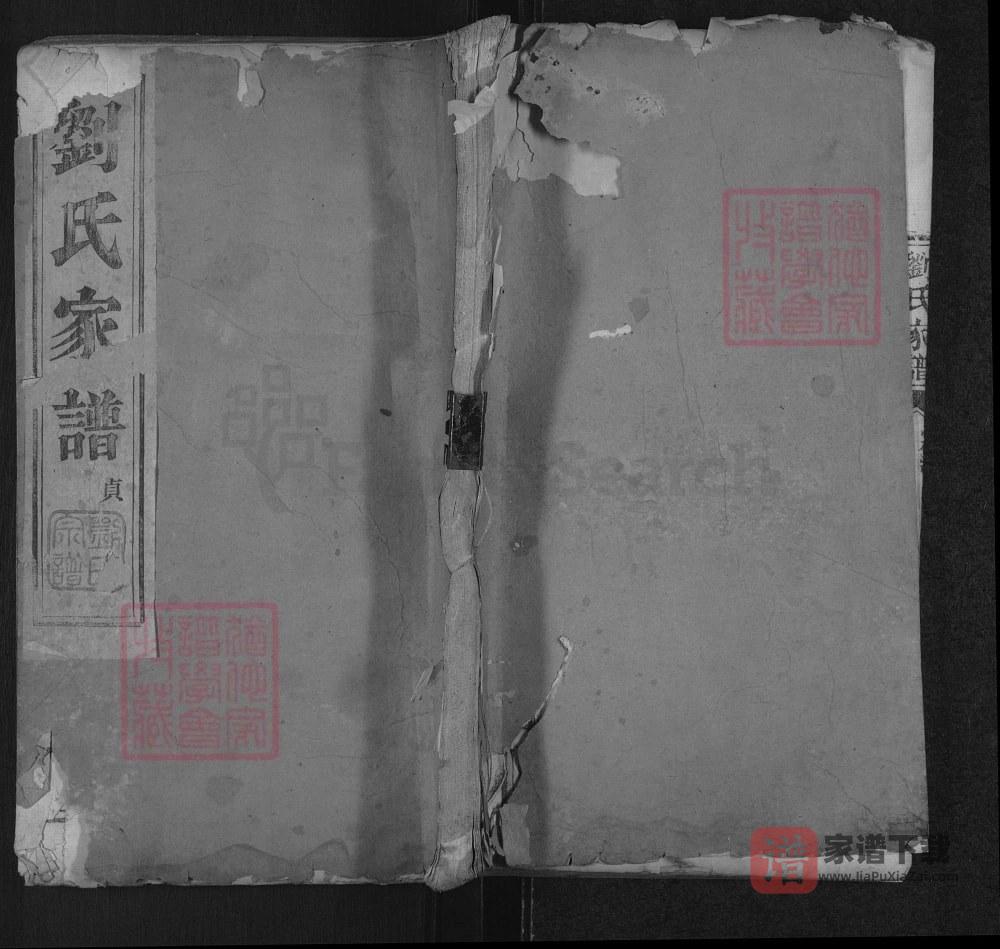 山东泰安宁阳刘氏家谱PDF高清电子版下载
