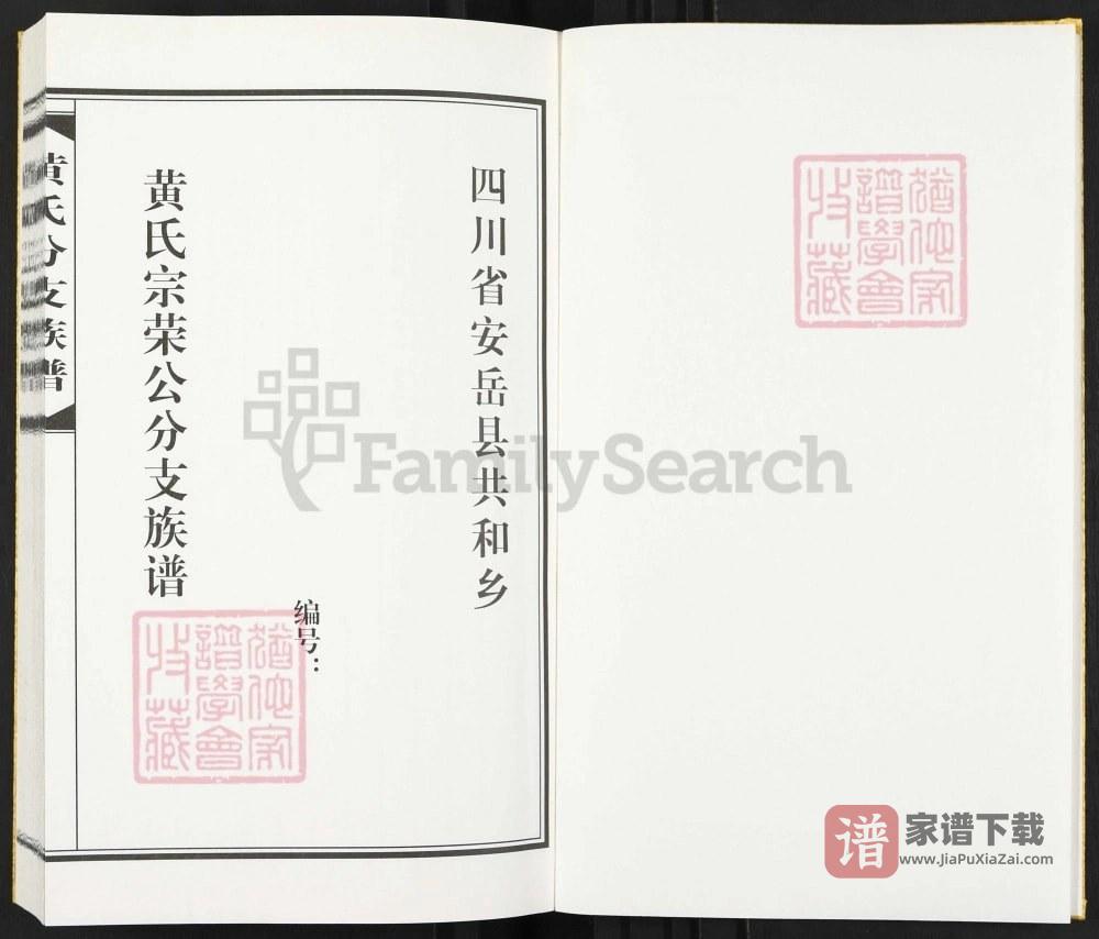 图片[2]-四川资阳安岳共和乡黄氏分支族谱PDF高清电子版下载-家谱下载