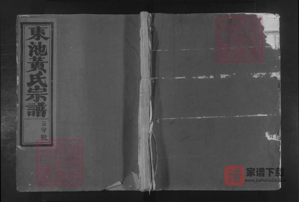 图片[1]-浙江金华东池黄氏宗谱PDF高清电子版下载-家谱下载