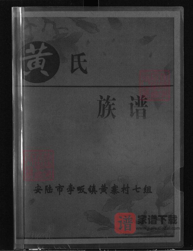湖北安陆孛畈镇黄寨村七组黄氏族谱PDF高清电子版下载-家谱下载