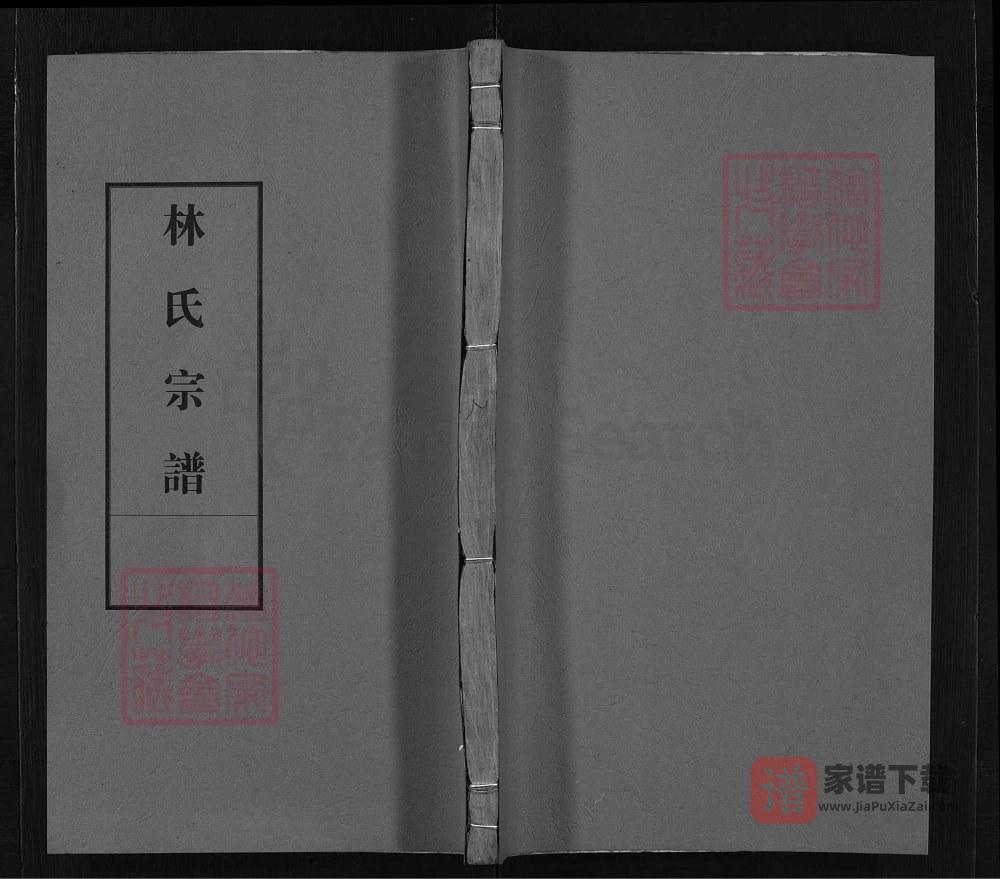 图片[1]-浙江衢州常山县林氏宗谱（九牧堂）PDF高清电子版下载-家谱下载