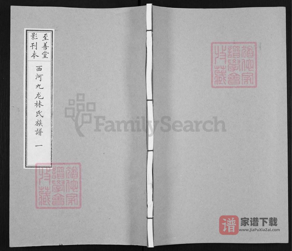 图片[1]-福建三明宁化西河九龙林氏族谱（至善堂）PDF高清电子版下载-家谱下载