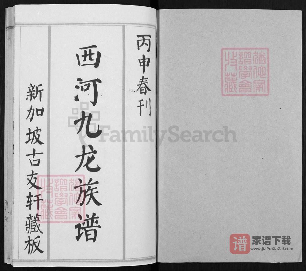 图片[2]-福建三明宁化西河九龙林氏族谱（至善堂）PDF高清电子版下载-家谱下载