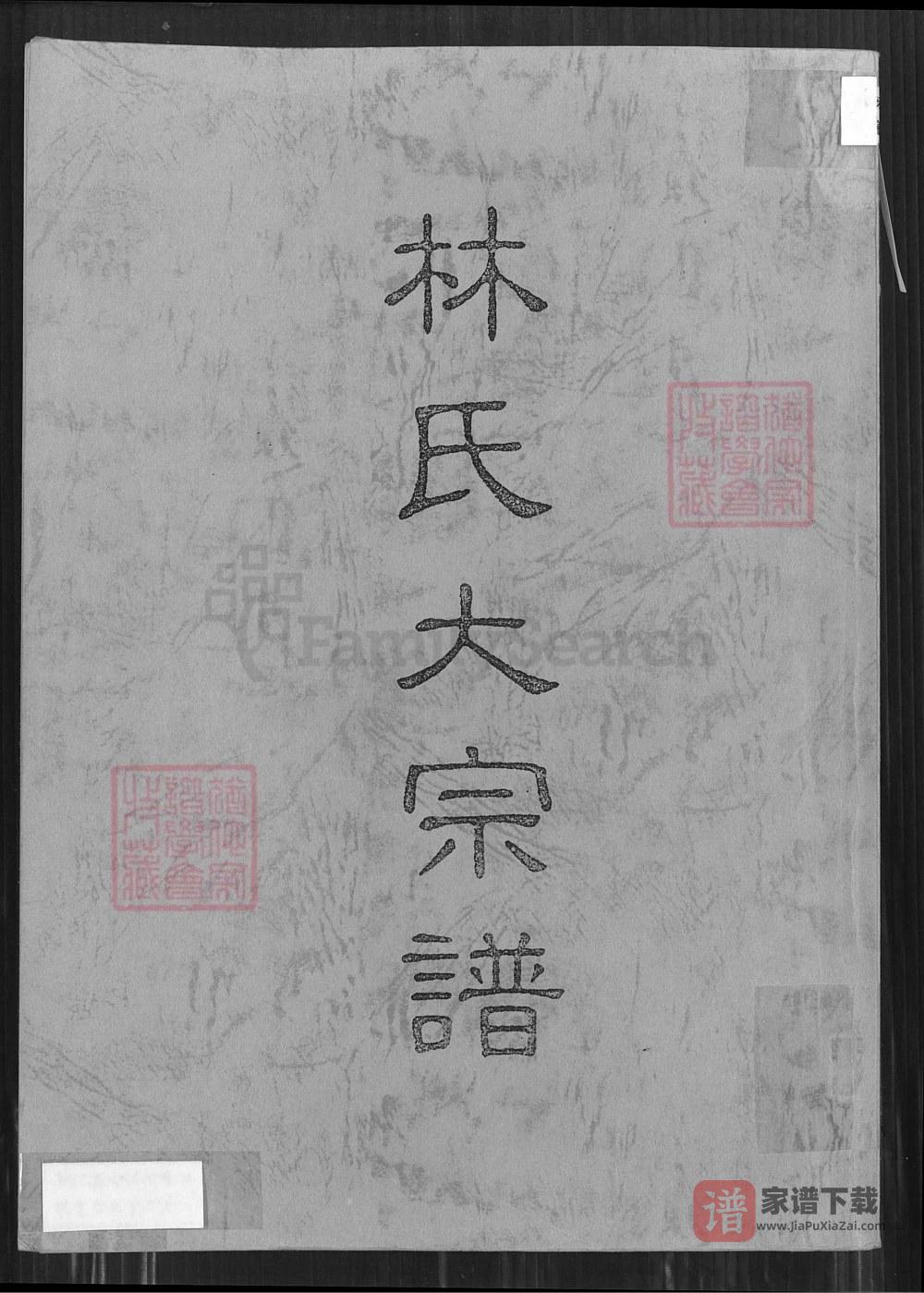图片[1]-台湾桃园林氏大宗谱PDF高清电子版下载-家谱下载