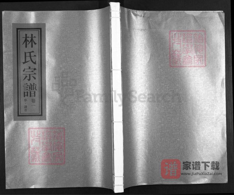 浙江瑞安济南郡林氏宗谱PDF高清电子版下载-家谱下载