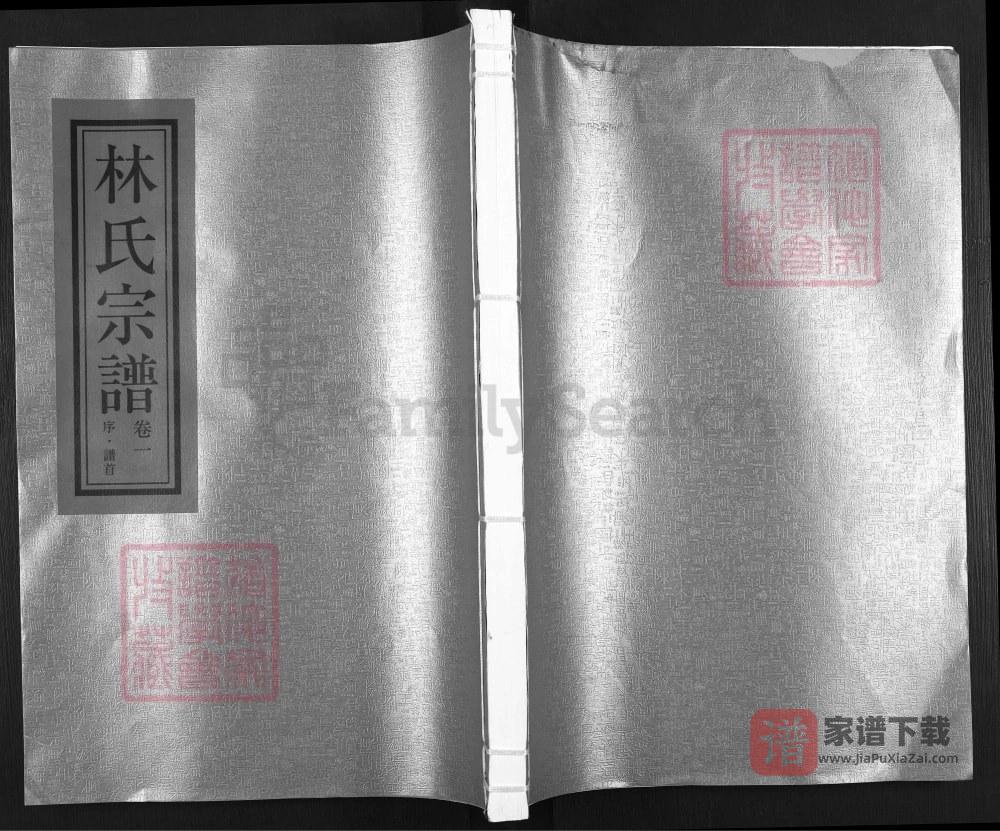 图片[1]-浙江瑞安济南郡林氏宗谱PDF高清电子版下载-家谱下载