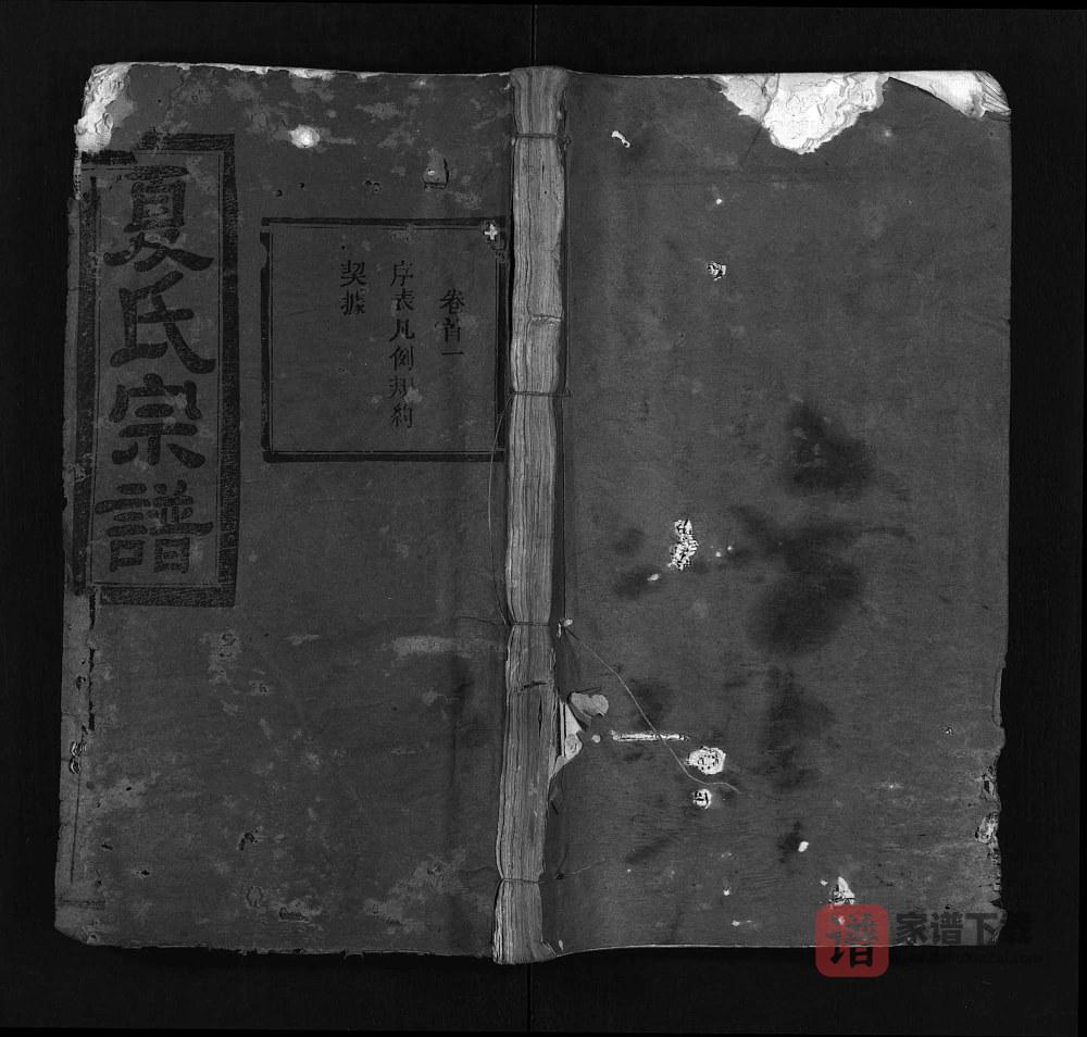 图片[1]-湖北麻城麻邑牌楼河夏氏宗谱（尚忠堂）PDF高清电子版下载-家谱下载