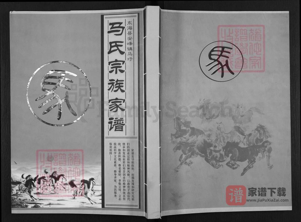图片[1]-江苏连云港东海县安峰镇马圩马氏宗族家谱（伏波堂）PDF高清电子版下载-家谱下载