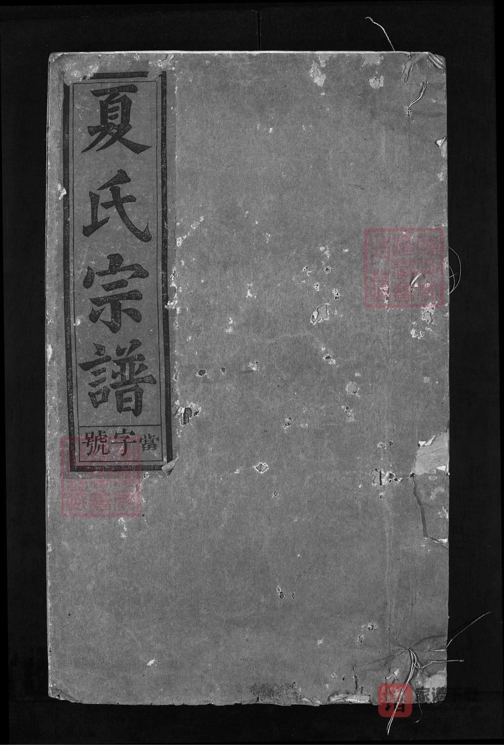 图片[1]-江西上饶广丰夏氏宗谱PDF高清电子版下载-家谱下载