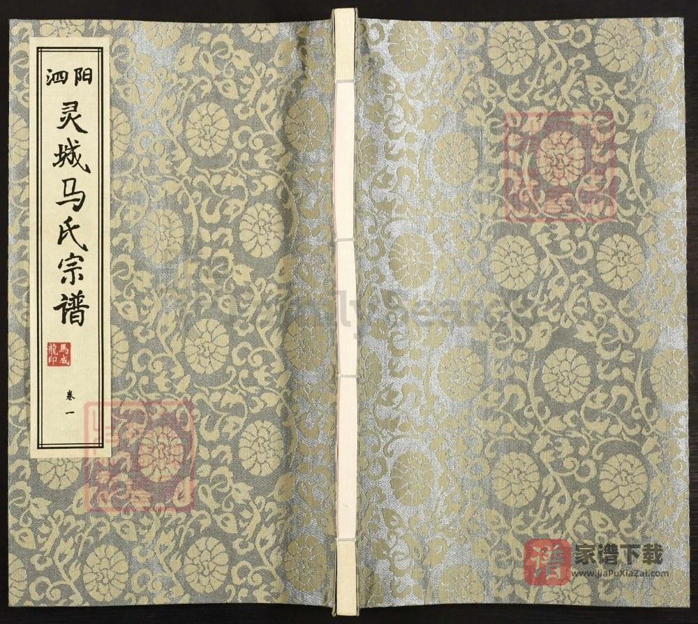 图片[1]-江苏宿迁泗阳灵城马氏宗谱（伏波堂）PDF高清电子版下载-家谱下载