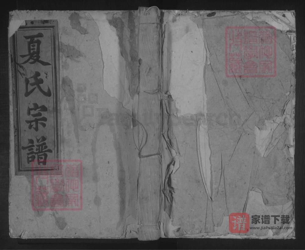 图片[1]-江西九江德安夏氏宗谱PDF高清电子版下载-家谱下载