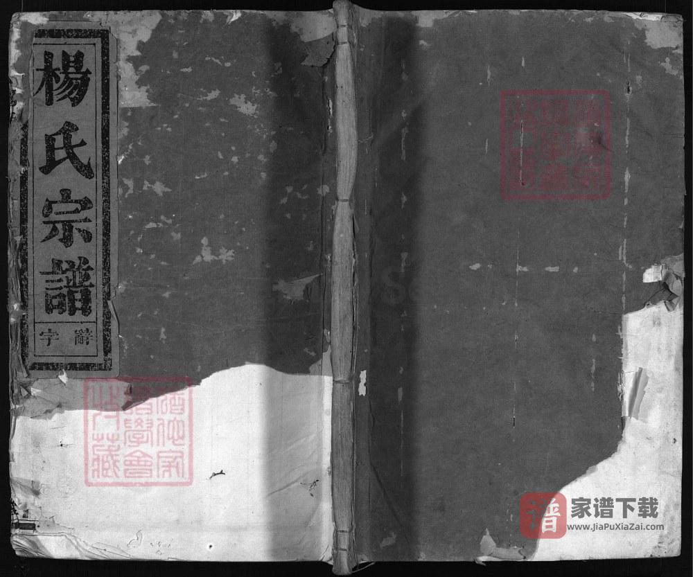 图片[1]-浙江兰溪尖峰杨氏宗谱（清白堂）PDF高清电子版下载-家谱下载