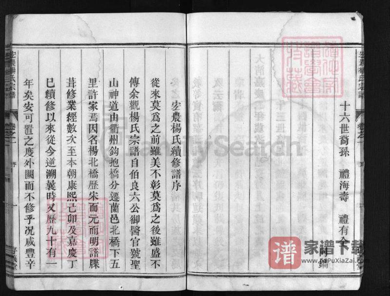 浙江兰溪宏农杨氏宗谱(存义堂)PDF高清电子版下载-家谱下载