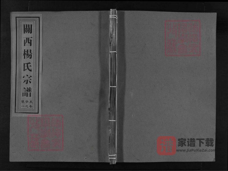 浙江兰溪关西杨氏宗谱(清白堂)PDF高清电子版下载-家谱下载