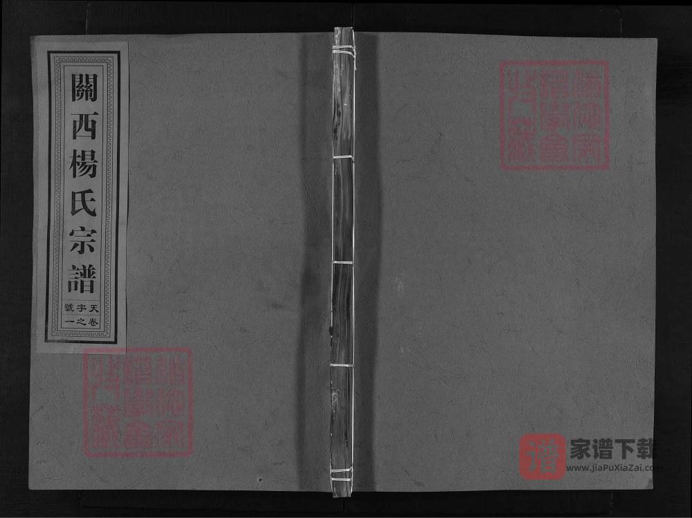 图片[1]-浙江兰溪关西杨氏宗谱（清白堂）PDF高清电子版下载-家谱下载