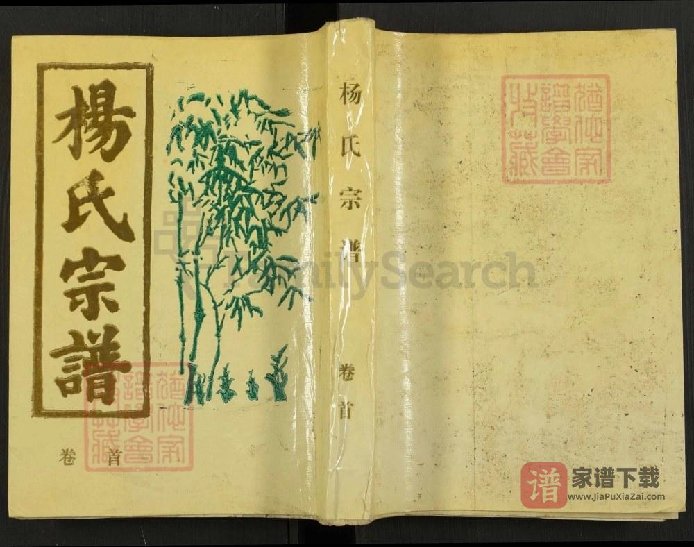图片[1]-安徽安庆怀宁杨氏宗谱PDF高清电子版下载-家谱下载