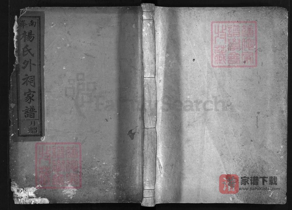 图片[1]-浙江江山南峰杨氏外祠家谱（永思堂）PDF高清电子版下载-家谱下载