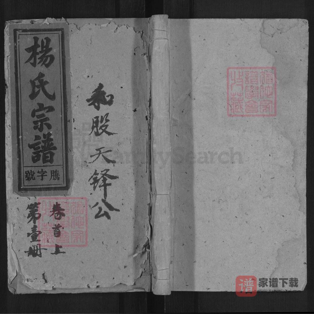 图片[1]-安徽安庆太湖县杨氏宗谱（四知堂）PDF高清电子版下载-家谱下载