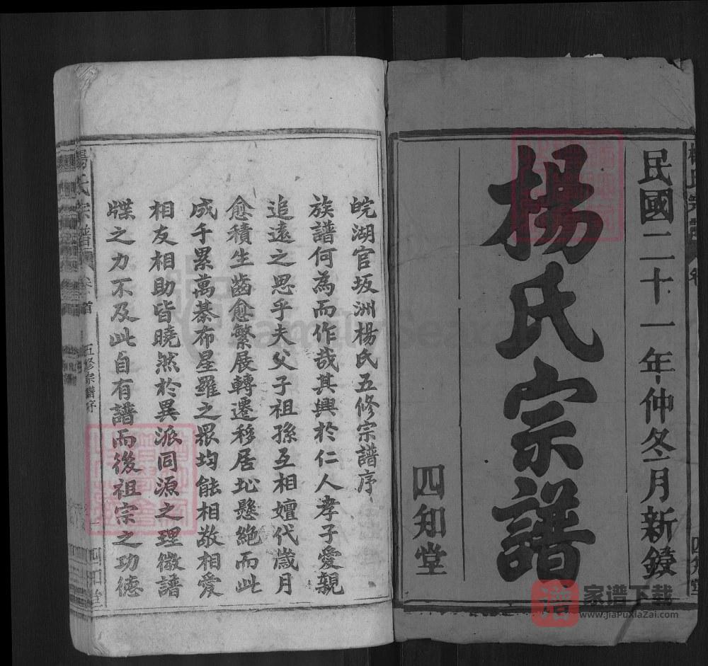 图片[2]-安徽安庆太湖县杨氏宗谱（四知堂）PDF高清电子版下载-家谱下载